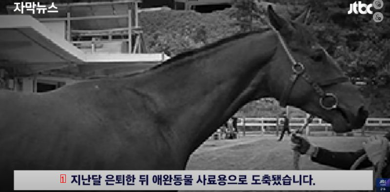 成績が出ず引退させた競走馬を飼料にしてしまった馬事会