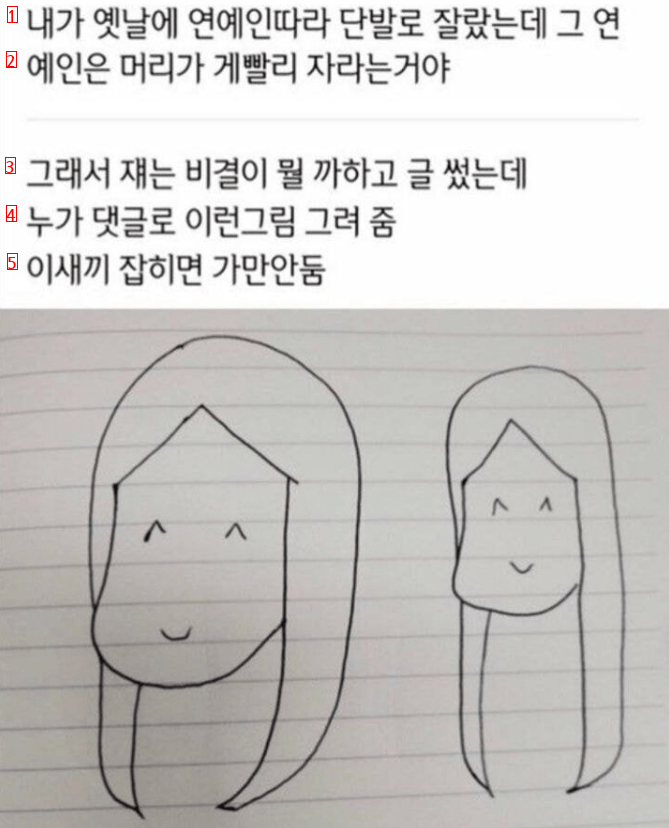 여자 연예인들 머리크기 실감하는 짤.jpg