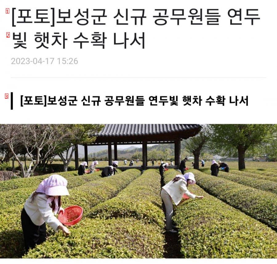 보성군 신규 공무원 근황 ㄷㄷ