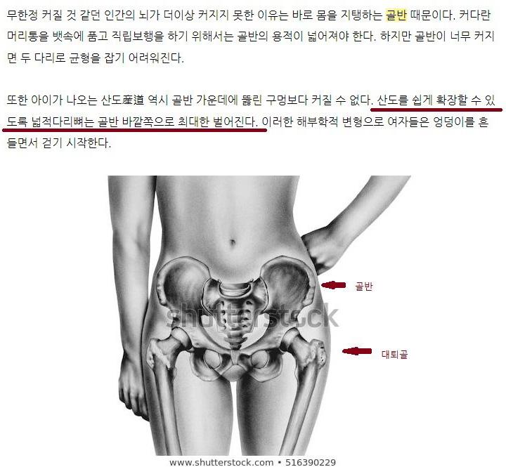 여자들이 엉덩이를 흔들며 걷는 이유