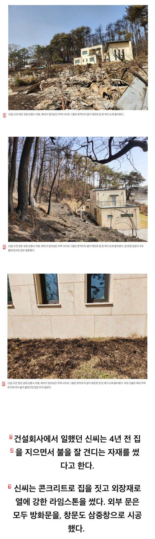 강릉 산불에서 살아남은 집.jpg