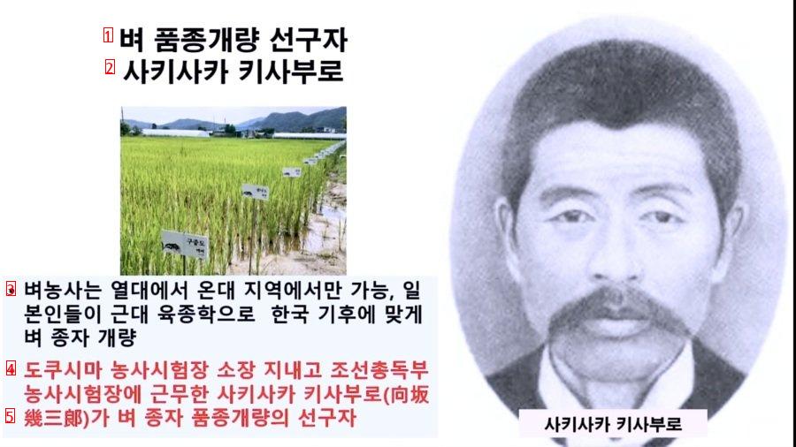 일제 쌀 수탈설의 진실