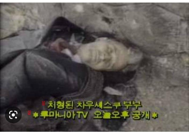 대통령 부부 총살