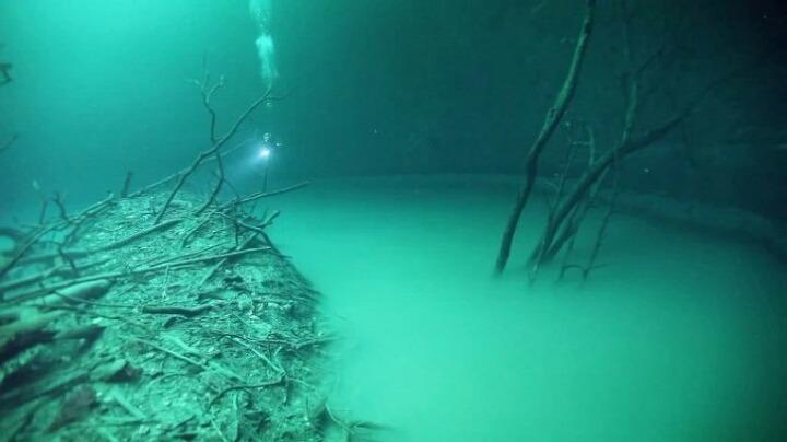 海底を流れる川 - セノテアンジェリタ Cenote Angelita