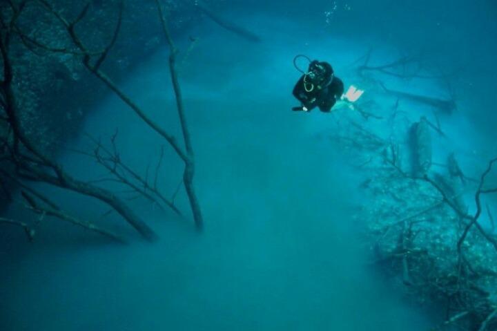 海底を流れる川 - セノテアンジェリタ Cenote Angelita