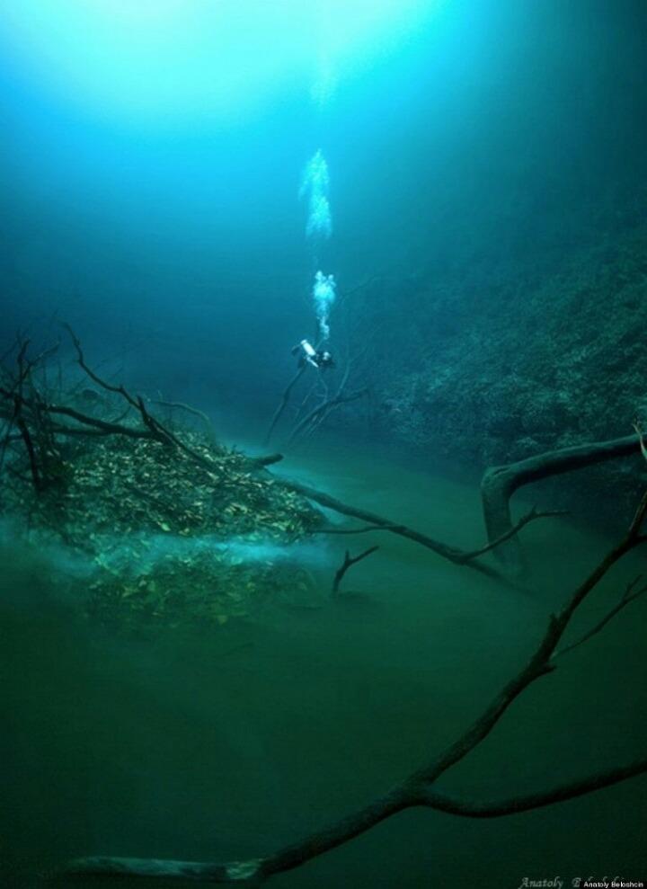 바다 밑을 흐르는 강 - 세노테 안젤리타(Cenote Angelita)