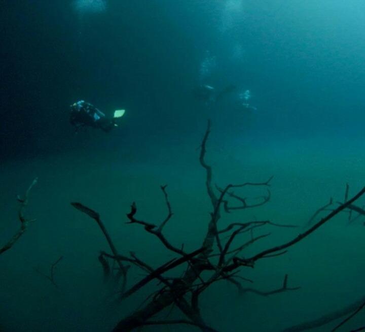 海底を流れる川 - セノテアンジェリタ Cenote Angelita