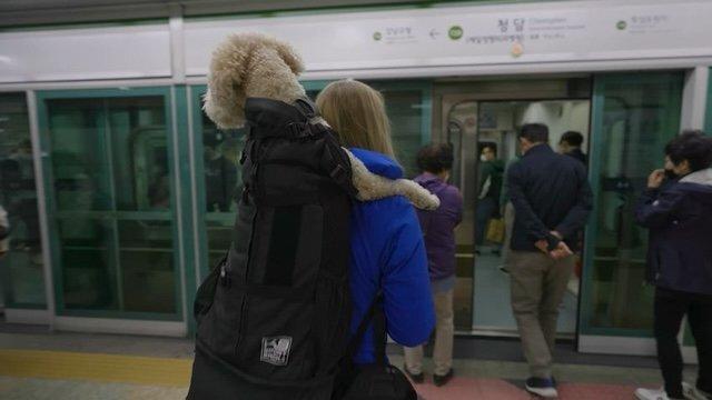 한국 관광 중에 갑자기 노인이 돈을 줘서 불편했던 외국인