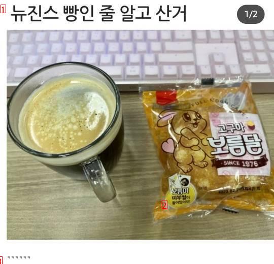 뉴진스빵 사왔어