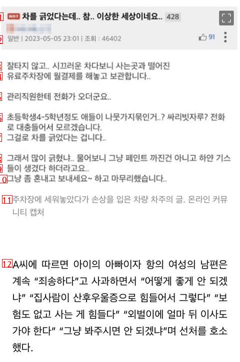 차량 긁은 초딩 봐줬더니 우리애 혼냈다고 까불던 맘충의 최후