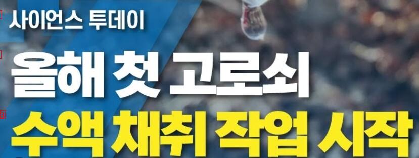 韓国の変わった飲み物のラスボスjpg