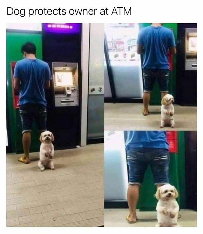 ATMでお金を稼ぐ飼い主を守る犬