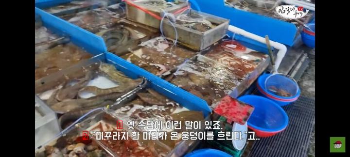 ユーチューバーに死んだふぐを売ろうとして捕まった魚市場の商人