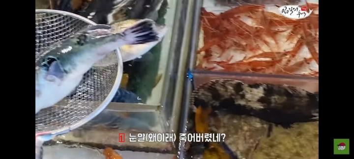 ユーチューバーに死んだふぐを売ろうとして捕まった魚市場の商人