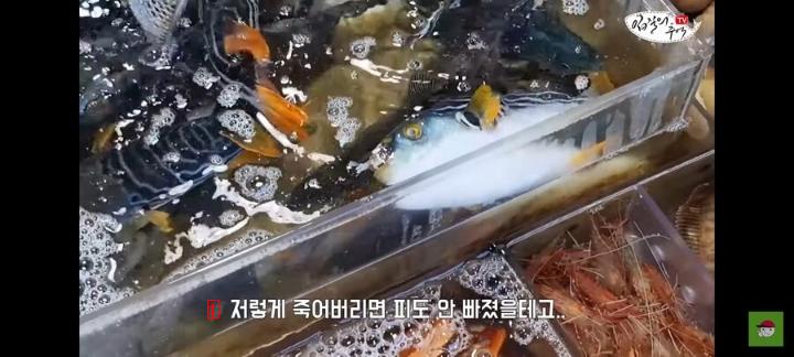 ユーチューバーに死んだふぐを売ろうとして捕まった魚市場の商人