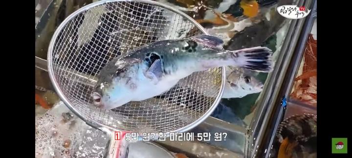 ユーチューバーに死んだふぐを売ろうとして捕まった魚市場の商人