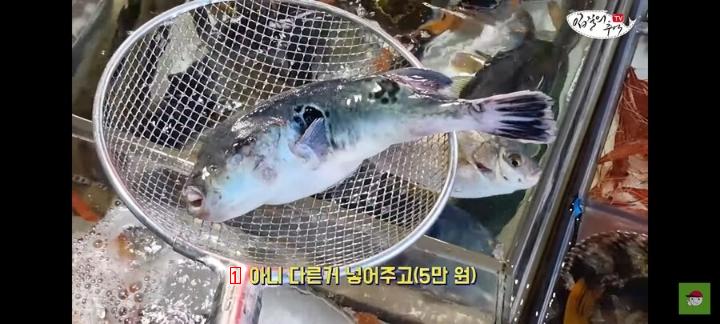 ユーチューバーに死んだふぐを売ろうとして捕まった魚市場の商人