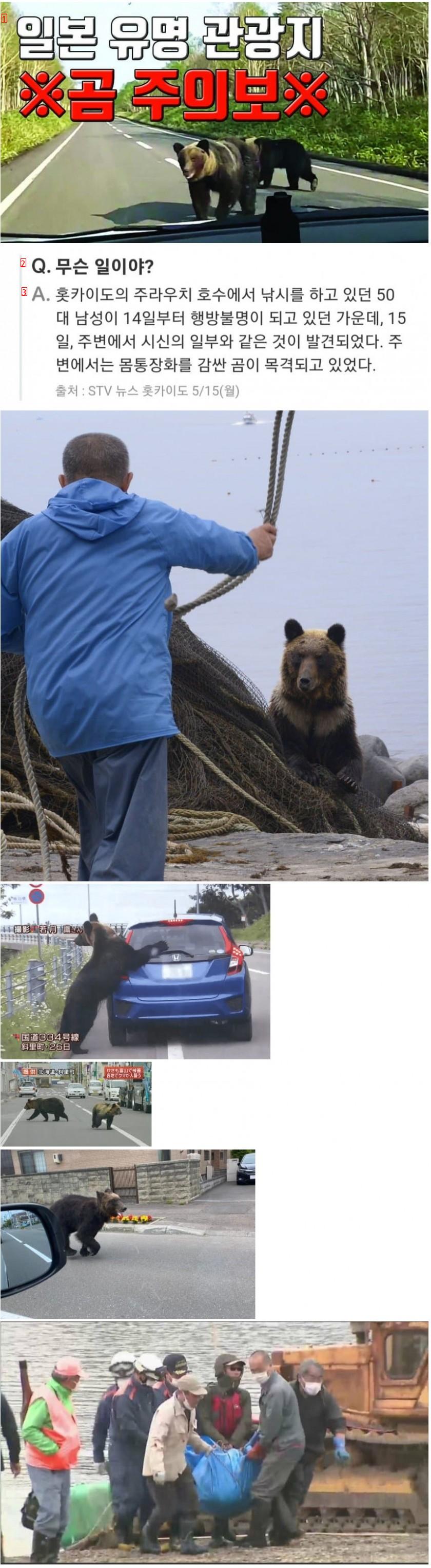 ゾクゾク北海道熊警報