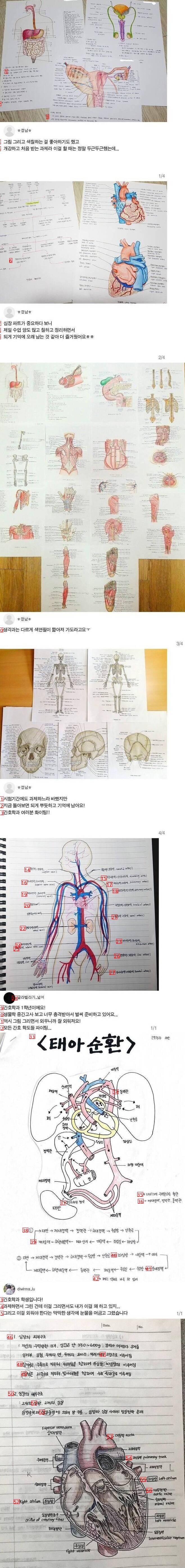 看護学科筆記クラス