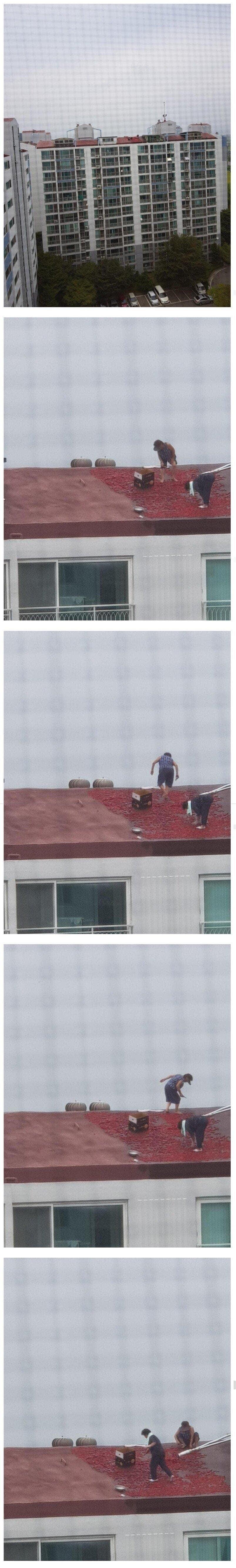 아파트 지붕 위에 있는 할머니 레전드.jpg