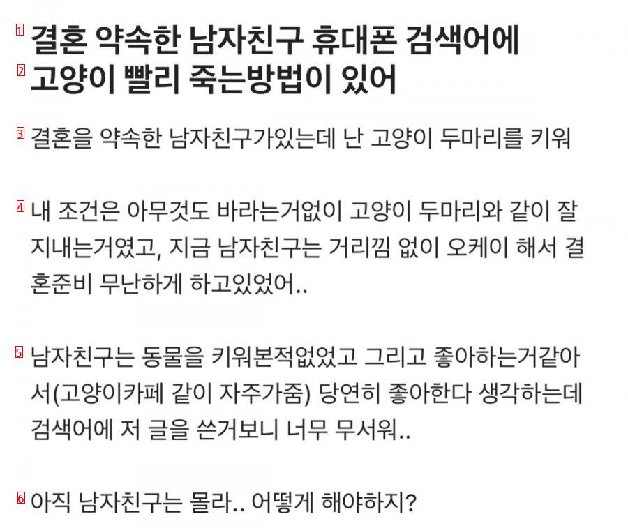 결혼 약속한 남자친구 휴대폰 검색어에 이런게 있었어