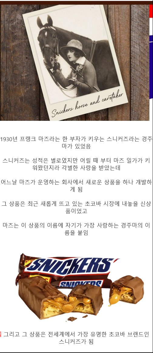 세계에서 가장 유명해진 어느 경주마의 이름.jpg