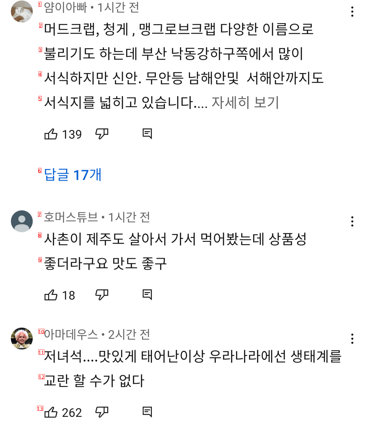 제주바다에 나타난 외래종 최상위 포식자