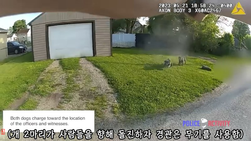 (SOUND)アメリカで犬の首輪をつけないと起こること