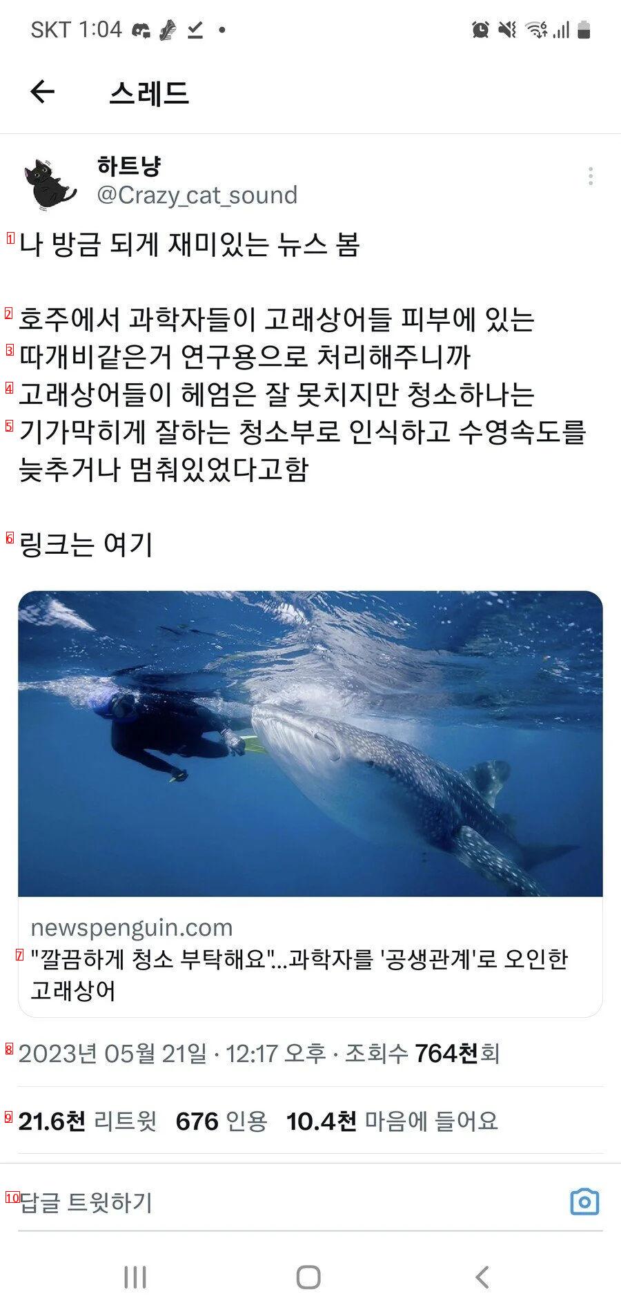 과학자를 청소부로 오해하고 있다는 고래상어