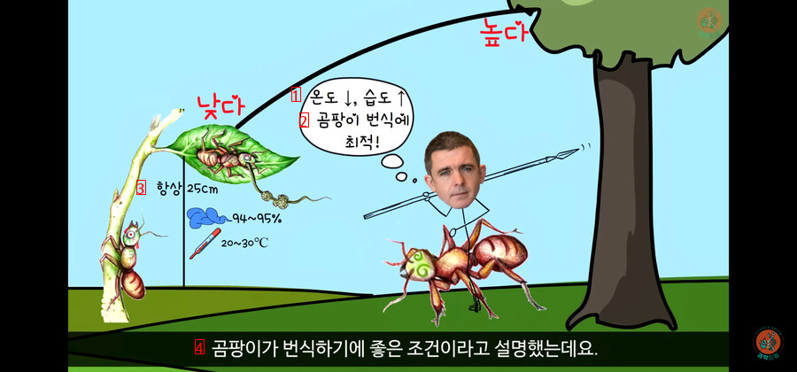 虫主義意外にも私たち思ったより恐ろしい冬虫夏草の秘密