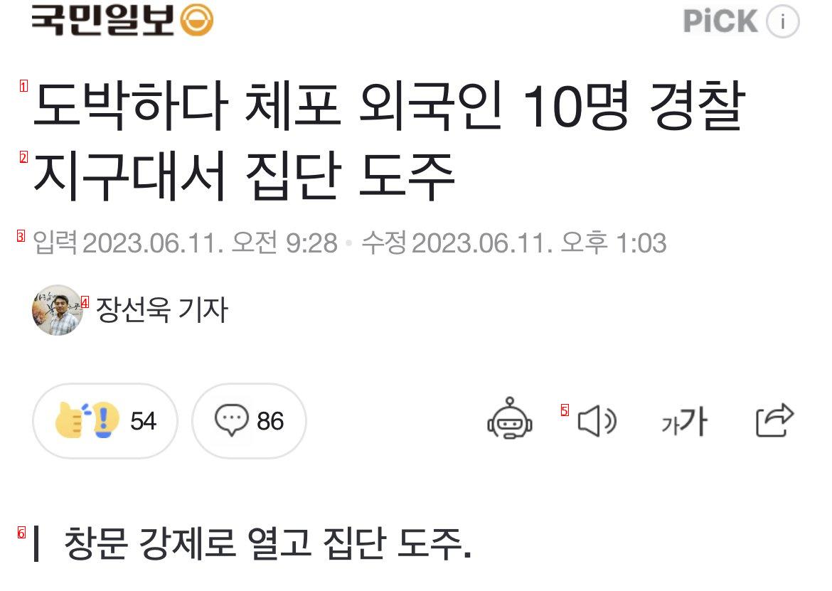 현행범 체포 외국인 10명 집단 도주