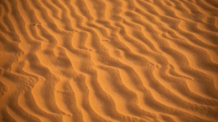국토 90% 모래 사우디가 모래를 수입하는 이유