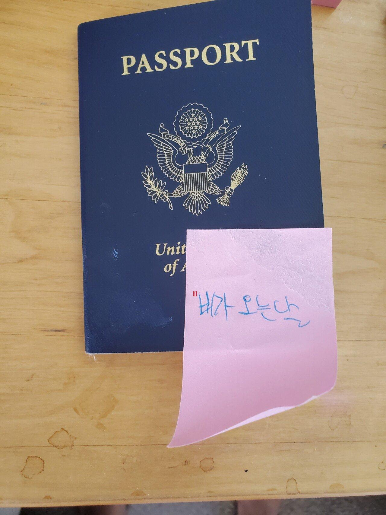 화교 아닌거 인증용 미국 여권