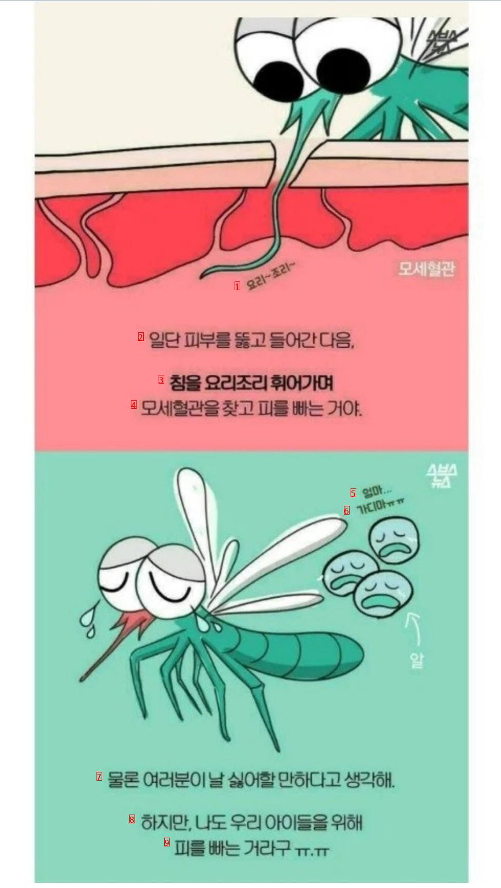 蚊に関する誤解と真実