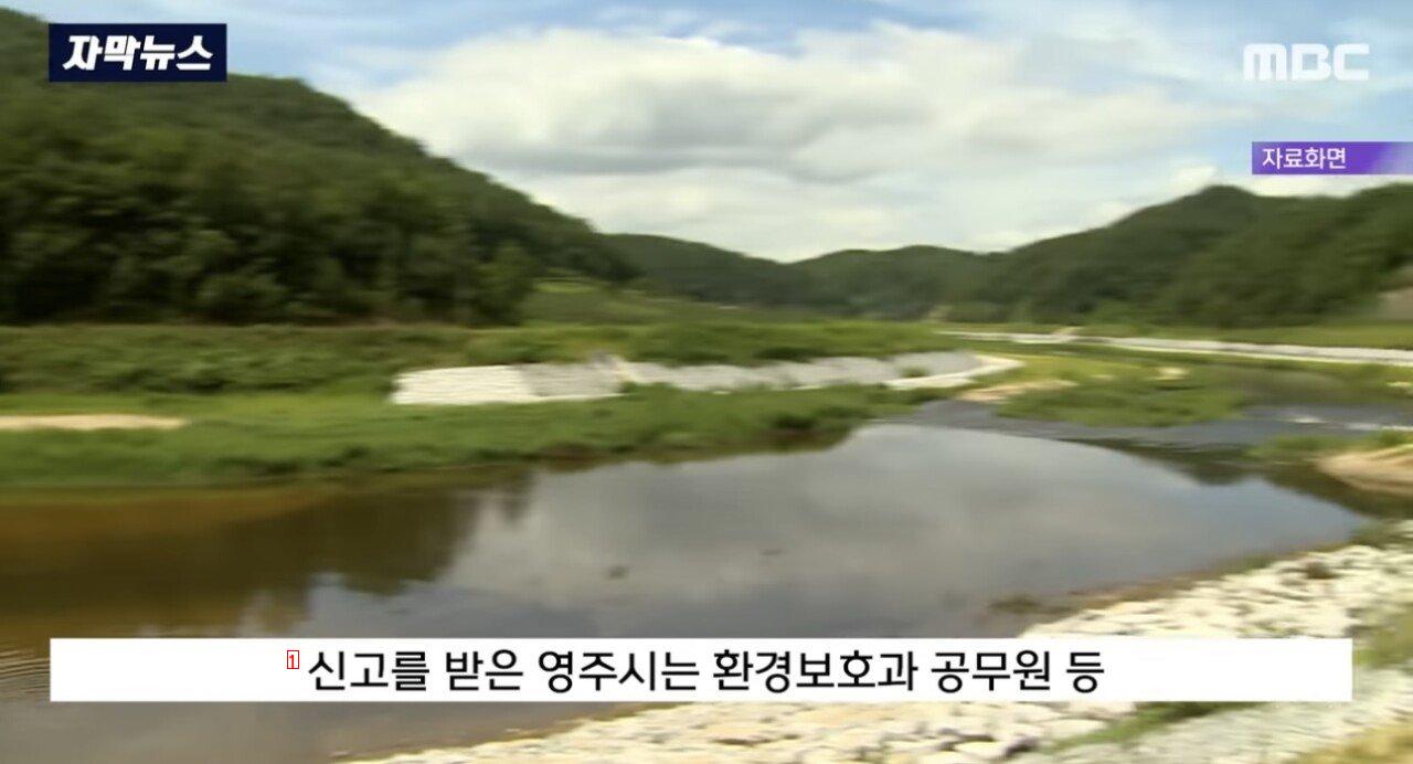 ワニが現れた大韓民国生態系の近況