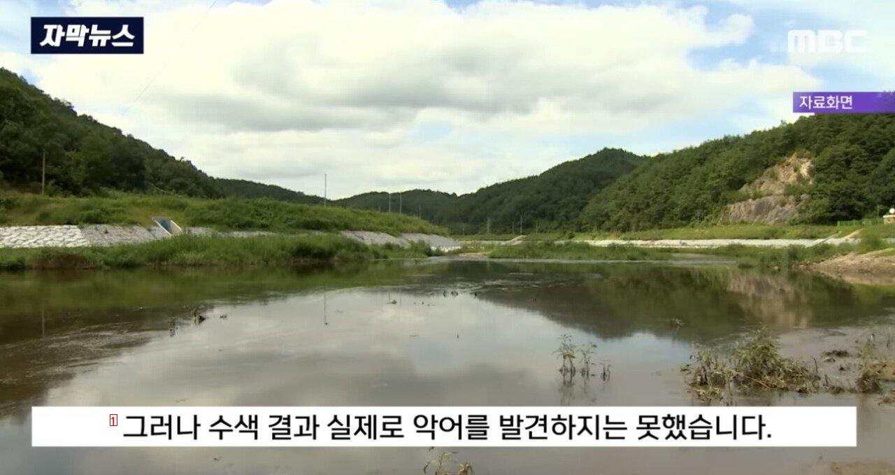 ワニが現れた大韓民国生態系の近況