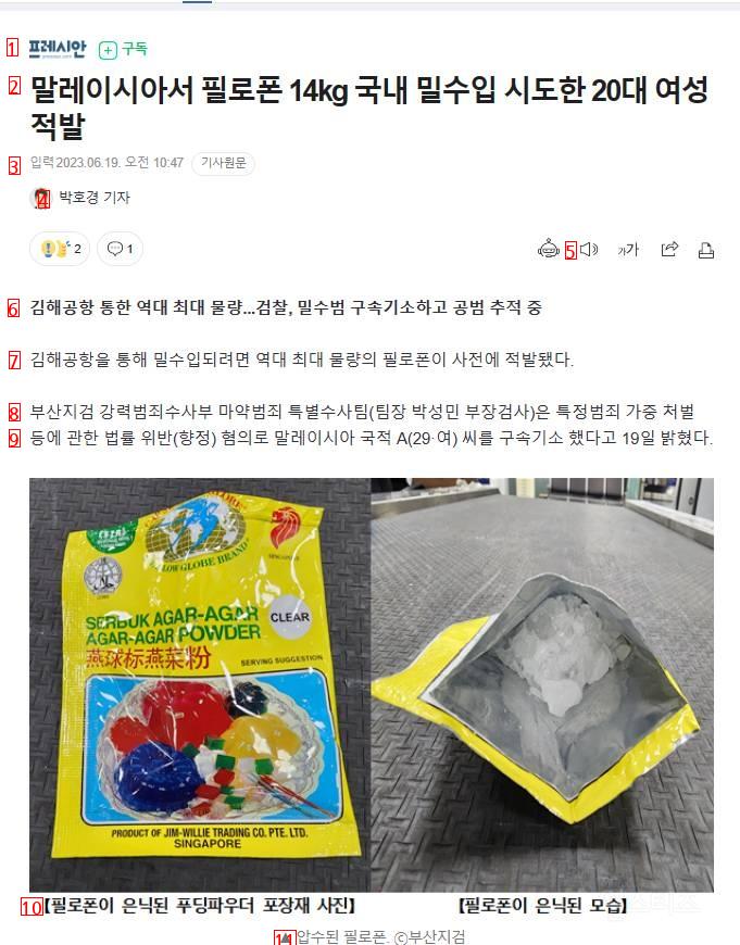 시가 463억원 필로폰 국내 밀수입 시도한 20대 여성