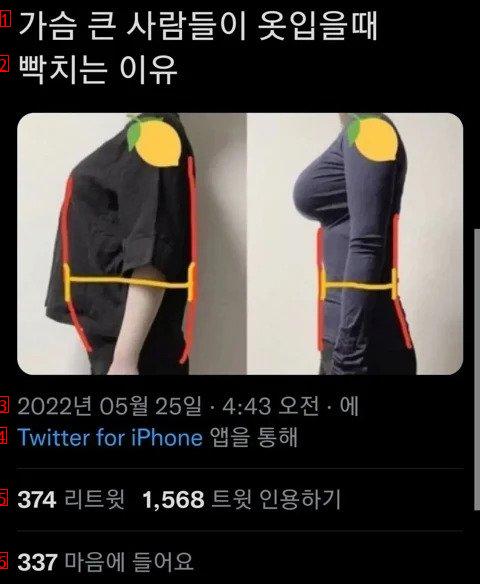 가슴 큰 사람들이 옷입을때 빡치는 이유