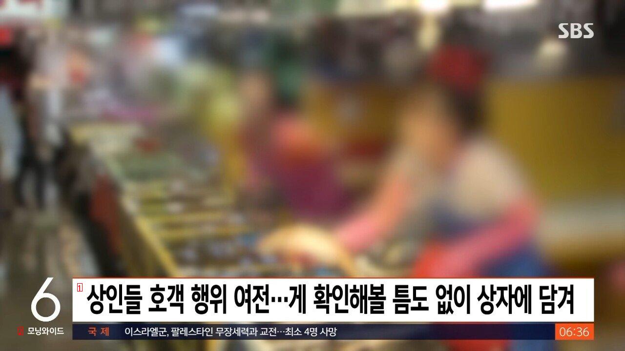 이틀전에 무릎꿇고 사과한 소래포구 근황