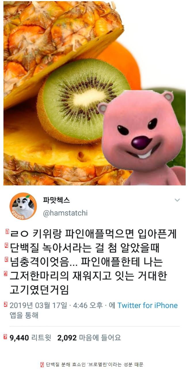 키위 & 파인애플 먹으면 입 아픈 이유