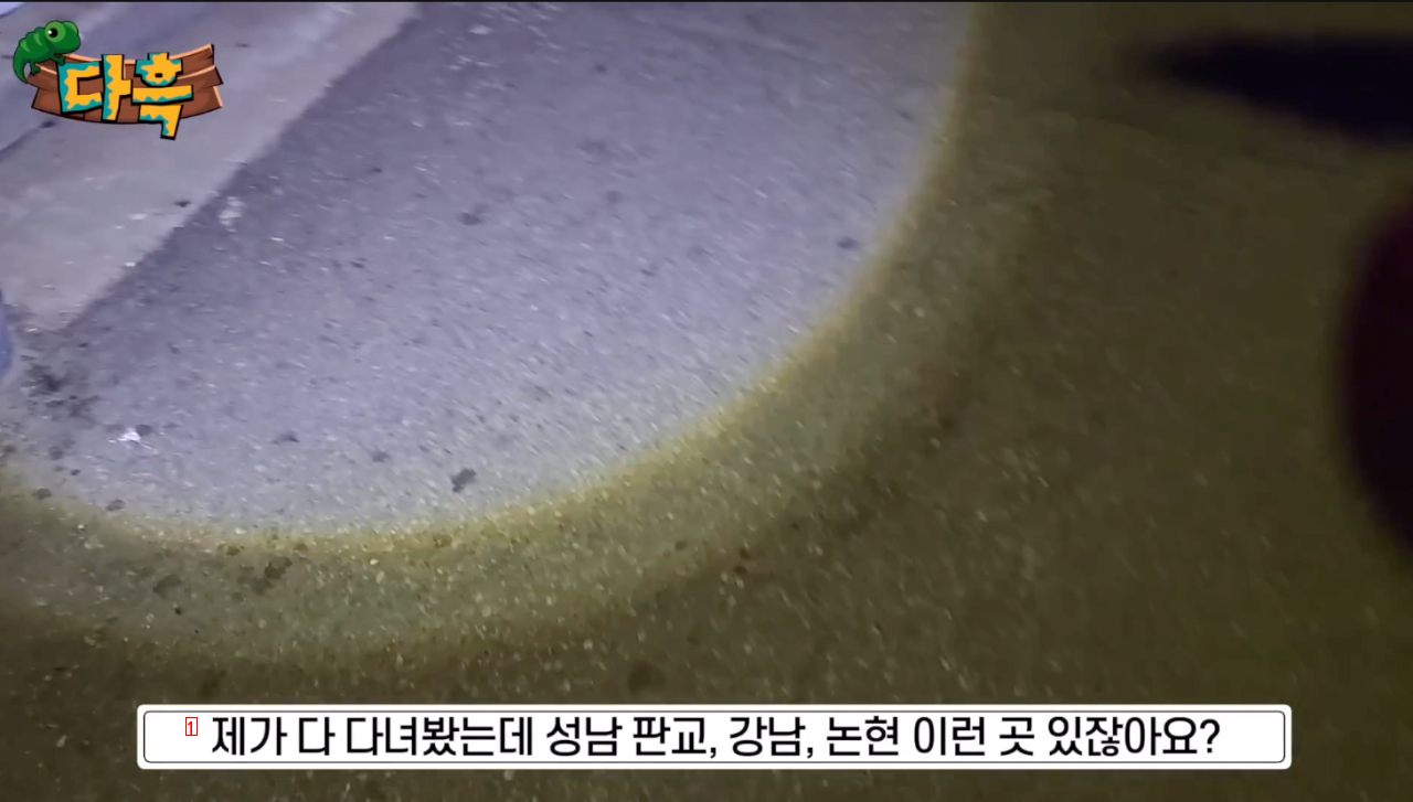 嫌主義、実際に最近韓国の野生で多くなっている昆虫