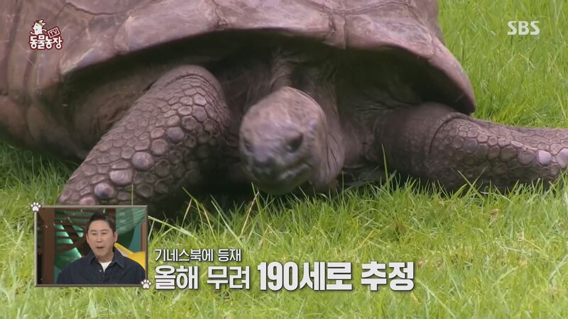 長寿動物の実記録