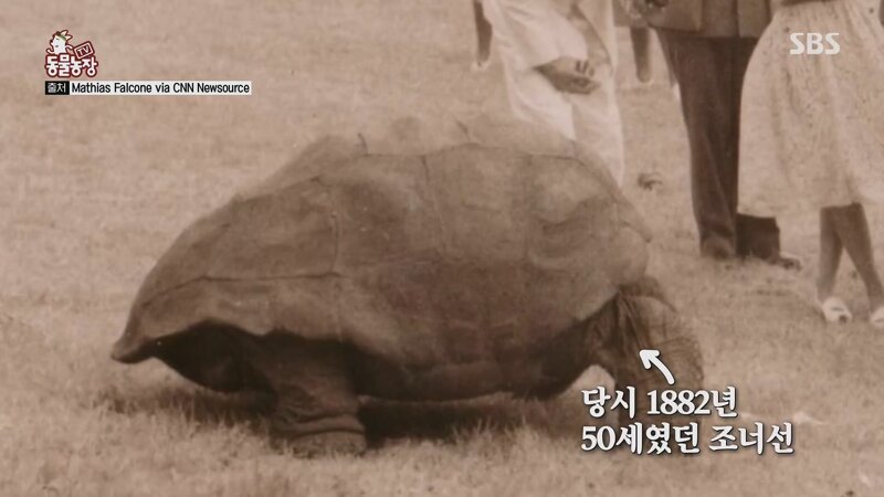 장수 동물 실제 기록