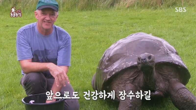 長寿動物の実記録