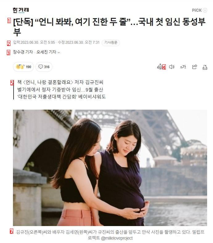 韓国初の妊娠同性夫婦ブルブル