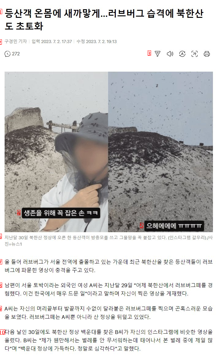 북한산 등산객을 습격한 러브버그.gif