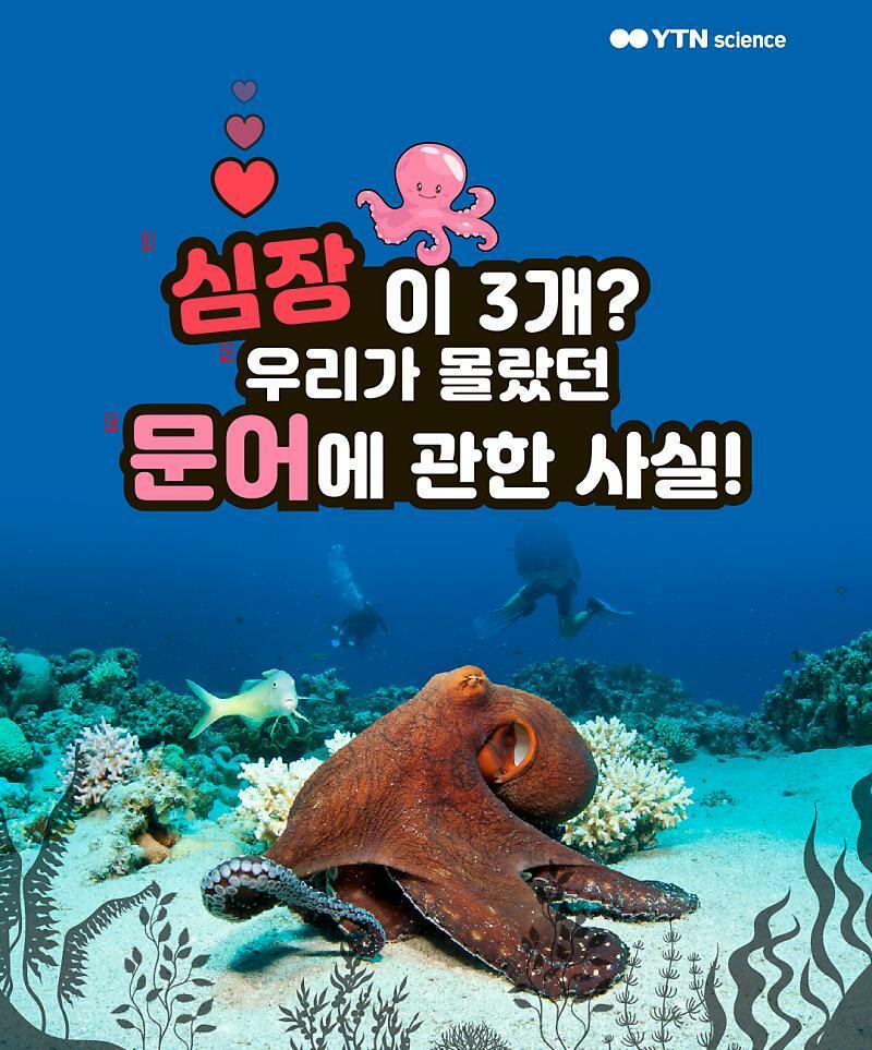 심장이 3개인 동물이 있다?