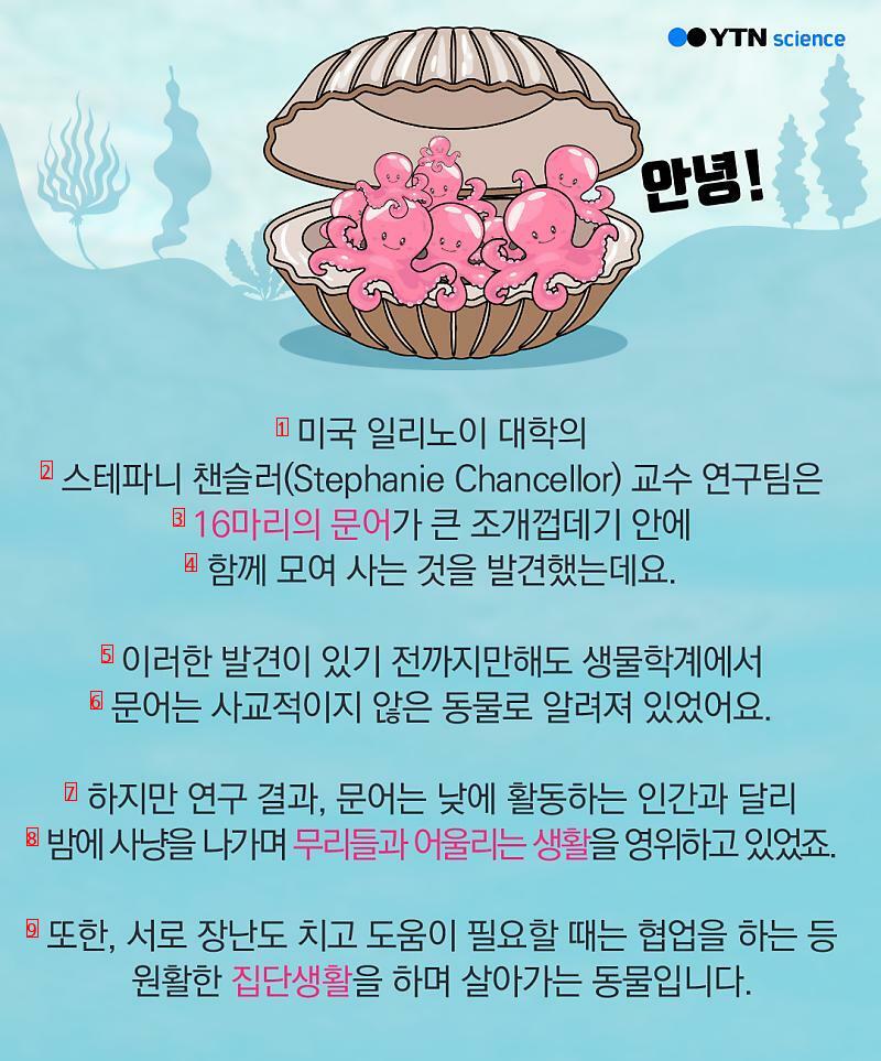 심장이 3개인 동물이 있다?