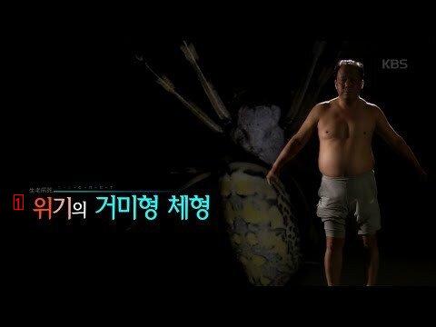 가장 위험하다는 체형