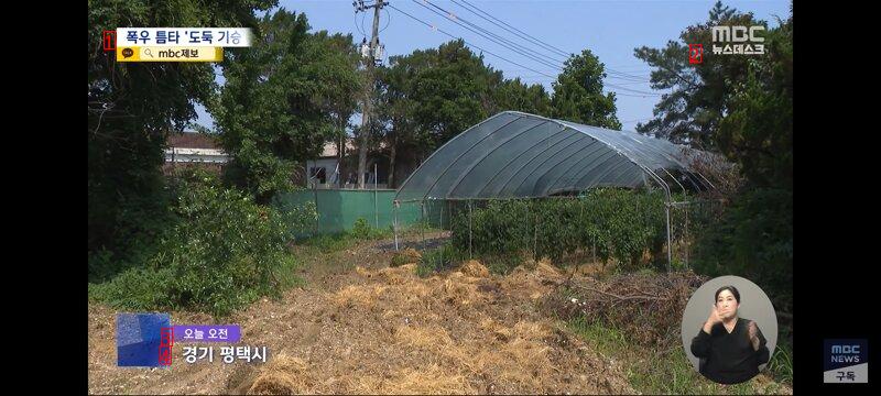 暴雨に乗じて泥棒騎乗